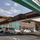 낙동강자전거길7 이미지