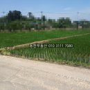 동읍1230 이미지