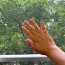 지니스프링스 | [내돈내산] 젤네일 중독자의 구원템 발견! 손톱세로줄 스프레이 후기