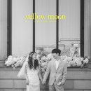 Yellow moon