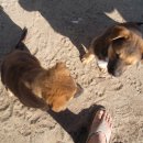 하운농장 이미지