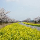 가시리농촌체험휴양마을 이미지