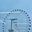 설악산파크식당 | 속초설악산맛집ㅣ속초항아리물회 속초아이뷰 메뉴 추천 및 주차 후기