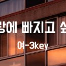 하다지(HADAJI) 이미지