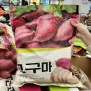 고구마