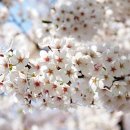 충훈2교 옆 이미지