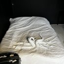 썬웨이 어드벤처 글램핑하우스 이미지