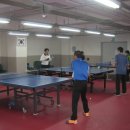 탁구(야간)중급 이미지