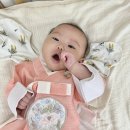 원백일경로당 | 구미 100일 사진 촬영│ 반려동물 동반 가능한 토리테이블 리뷰