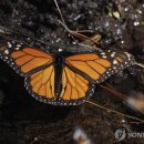 제왕환경 이미지