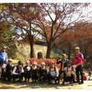 허니비1 이미지