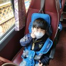 송민농장 Daum카페