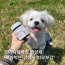 샛별유통 | 강아지털빠짐 피부영양제 추천 보약먹는 강아지 피모보감 급여후기