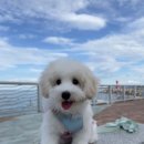 GS25 남애항점 이미지