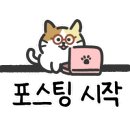 냥카페 묘연 이미지