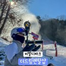 더드림의류샵 이미지