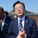 대조태양광발전소 이미지