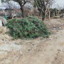 상록농장 이미지