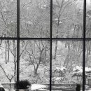 아니타 홈 이미지