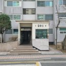 돌마로486번길 Daum카페