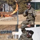 특공무술 엑스포츠뉴스