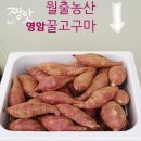 월출농장 이미지