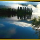 재활나라 이미지