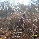 고헌농장 이미지