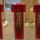 인삼농협판매장 이미지