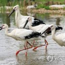 예산황새공원문화관 연합뉴스