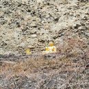 진안안내소 | 진안 여행 가볼만한곳 마이산 탑사 주차, 입장료, 겨울 방문 후기