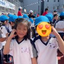 다운초등학교 | 사립초 후기&gt; 학비, 이머전, 방과후, 학부모회