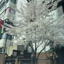 서초우면산주유소 이미지