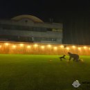 제제네 멍치원 이미지