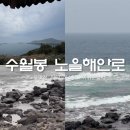 해안로 | 애견동반 제주2박3일 가족여행 수월봉 및 노을해안로 돌고래 스팟 후기
