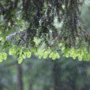 자유한의원 이미지