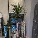 CL타워 | 미사테니스 재미있는 미사CL테니스아카데미 방문 후기