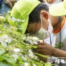 녹색지역아동센터 이미지