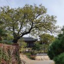 가일마을 이미지