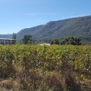 만평농장 이미지