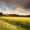 유영진농장 이미지