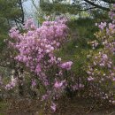 도봉산입구 이미지