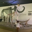 미호컴퍼니 이미지