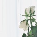대한상례원