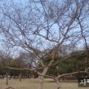 글사랑방 이미지