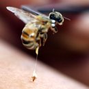 경희김세윤한의원 이미지