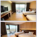 솔라고CC 라고 이미지