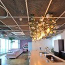 자니노니 마시안점 이미지