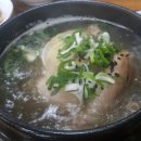 겨우살이 상계탕 이미지