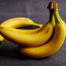 다이나믹 짐 이미지